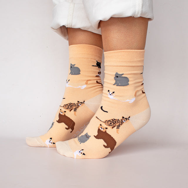 Cat Illustrated Socks