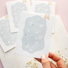 Packet Of Daisy Seeds