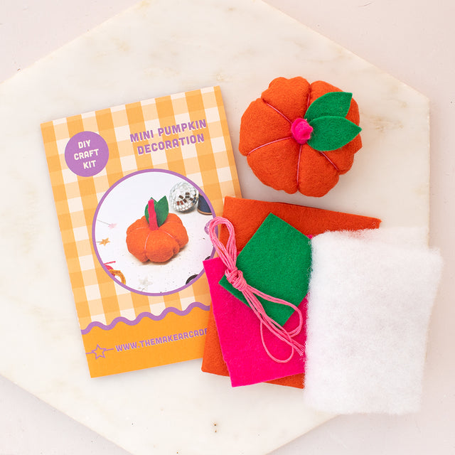 Mini Pumpkin Decoration Craft Kit