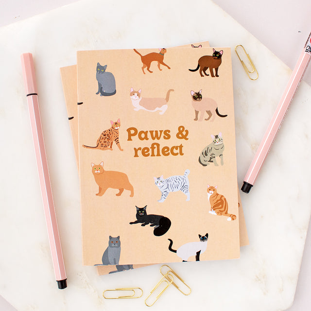 Paws And Reflect Cat Illustrated A6 Notebook