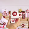 TreatBox Advent Calendar | PAY FULL TOTAL TODAY - COMING SOON