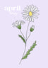 Birth flower A4 Print