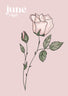 Birth flower A4 Print